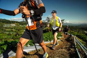 BIB: 
                            <button type="button" onclick="openModal(19123212)" class="btn btn-primary btn-sm float-right btn-popup" data-toggle="modal" data-target=".modal-high-quality">
                        <i class="fas fa-shopping-cart"></i> Add to Cart
                    </button>
                                            <button type="button" onclick="isThisMe(19123212, true)" class="btn btn-success btn-sm float-right btn-popup btn-isme hidden" data-toggle="tooltip" data-placement="bottom" title="นี่คือรูปของคุณใช่ไหม คลิกที่นี่เพื่อเอาเข้าอัลบั้ม">
                        <i class="fas fa-plus"></i> Add to album
                    </button>
                    <button type="button" onclick="isThisMe(19123212, false)" class="btn btn-warning btn-sm float-right btn-popup btn-isnotme hidden">
                        <i class="fas fa-ban"></i> Remove from album
                    </button>